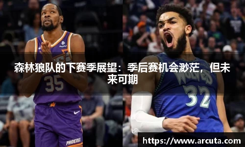 森林狼队的下赛季展望：季后赛机会渺茫，但未来可期