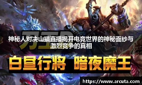 神秘人对决山猫直播揭开电竞世界的神秘面纱与激烈竞争的真相