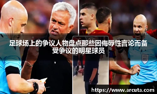 足球场上的争议人物盘点那些因侮辱性言论而备受争议的明星球员